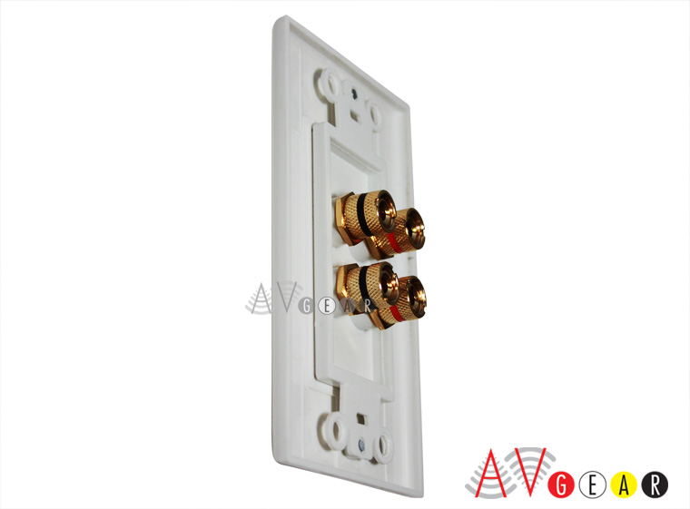 Accommodates Bare Wire, Banana Plugs, Banana Spades or Speaker Pins